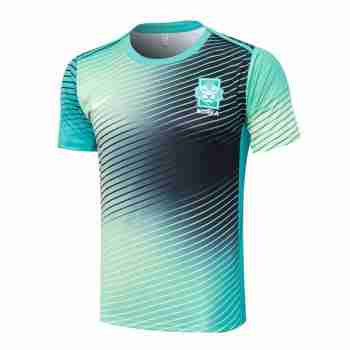 Tailandia Camiseta Entrenamiento Corea Del Sur 2024 2025 Azul