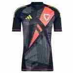 Tailandia Camiseta Gales Portero 2024