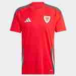 Tailandia Camiseta Primera Gales 2024 2025