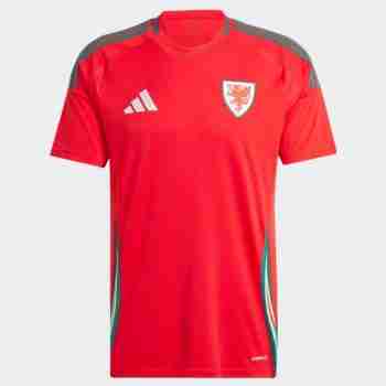 Tailandia Camiseta Primera Gales 2024 2025