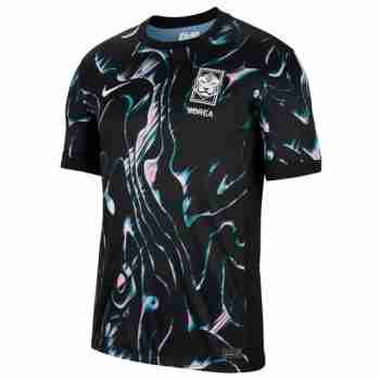 Tailandia Camiseta Segunda Corea Del Sur 2024 2025