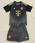 Camiseta Bayern Munich Conjunto Niños Portero 2025 2026 Gris