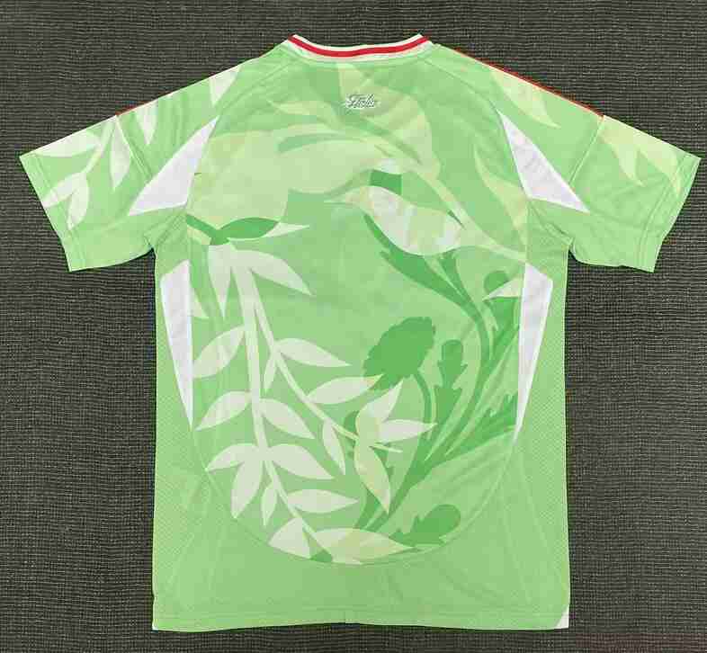 Camiseta Segunda Italia 2025 2026_1