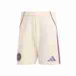 Tailandia Pantalones Tercera Ajax De Ámsterdam 2025 2026