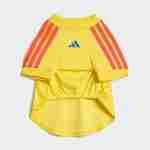 Equipacion Colombia Para Mascotas 2026