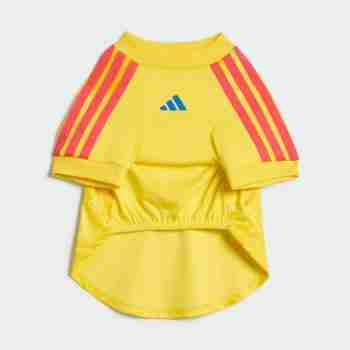 Equipacion Colombia Para Mascotas 2026_1