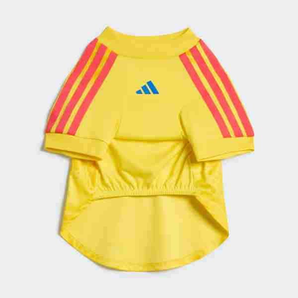 Equipacion Colombia Para Mascotas 2026_1 Equipacion Colombia Para Mascotas 2026_1