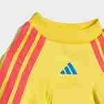 Equipacion Colombia Para Mascotas 2026