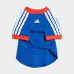 Equipacion Estados Unidos Para Mascotas 2026