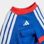 Equipacion Estados Unidos Para Mascotas 2026