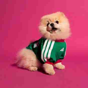 Camiseta Para Mascotas México 2026