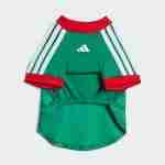 Equipacion México Para Mascotas 2026