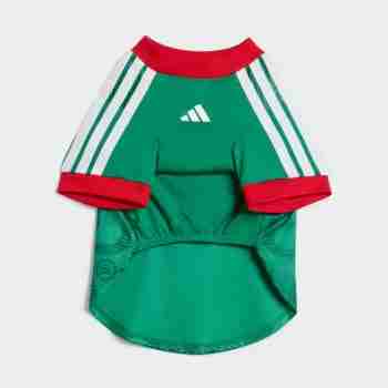 Camiseta Para Mascotas México 2026_1