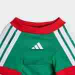 Equipacion México Para Mascotas 2026