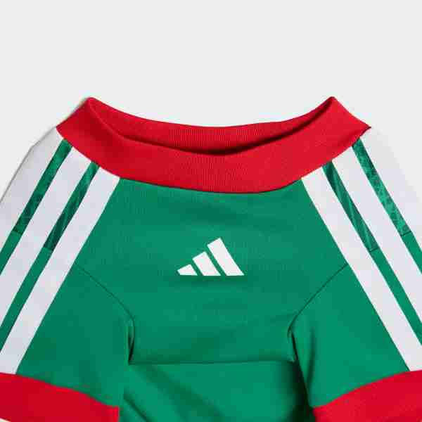 Equipacion México Para Mascotas 2026_3 Camiseta Para Mascotas México 2026_3