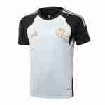 Tailandia Camiseta Entrenamiento Flamengo 2026 2027 Gris
