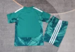 Camiseta Alemania Conjunto Ninos Portero 2026 2027 Verde