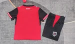 Camiseta Austria Conjunto Ninos Primera 2026 2027