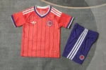 Camiseta Escocia Conjunto Ninos Segunda 2026 2027