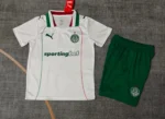 Camiseta Palmeiras Conjunto Ninos Segunda 2026 2027