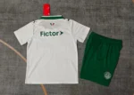 Camiseta Palmeiras Conjunto Ninos Segunda 2026 2027