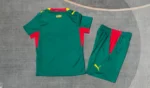Camiseta Senegal Conjunto Ninos Segunda 2026 2027