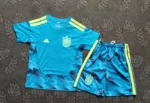 Camiseta España Conjunto Niños Portero 2026 2027 Azul